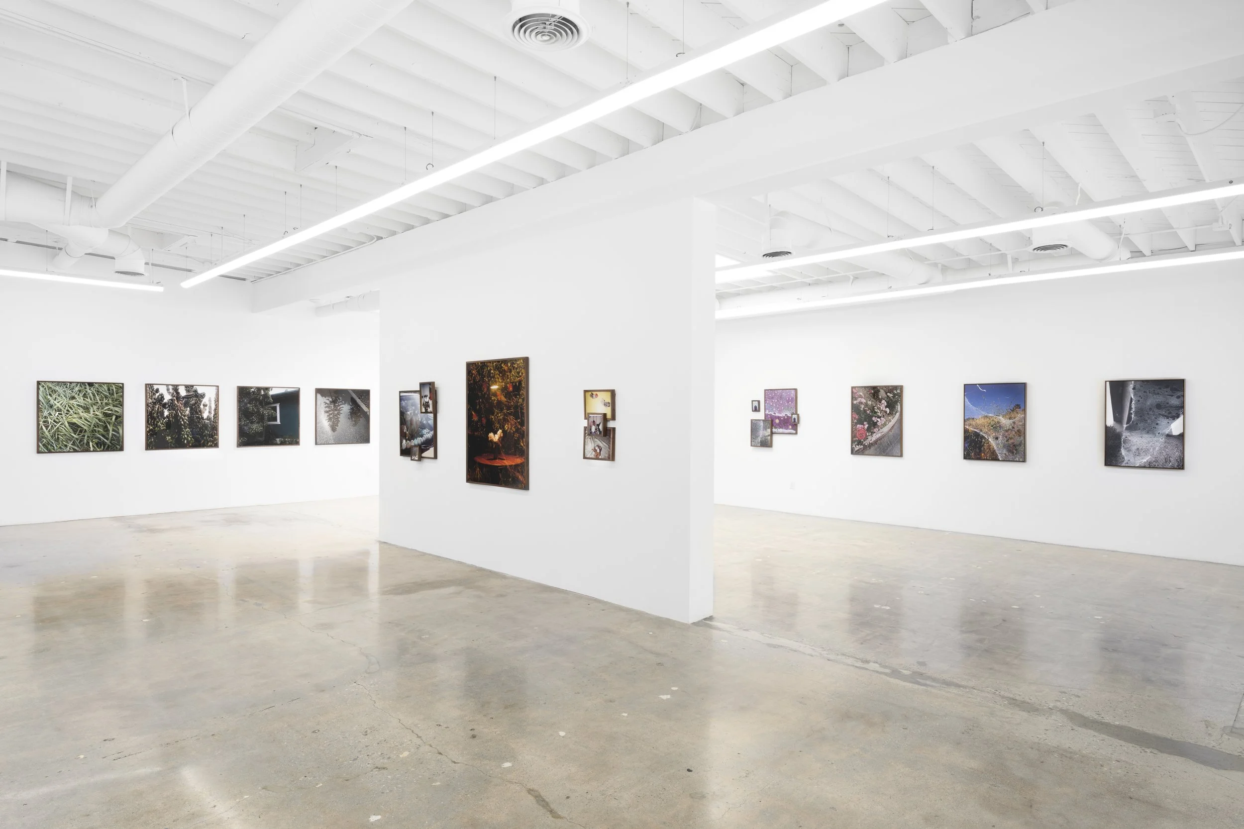 Everywhere you go, there you are, Control Gallery, Los Angeles, 2023