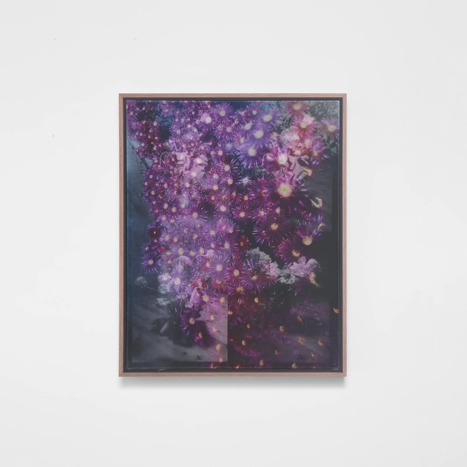 If You Could See My Thoughts, You Could Our Faces, Anthony Gallery, Chicago