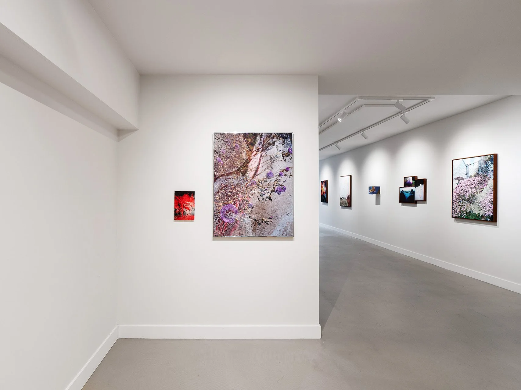 Anthony Gallery_High Res_JdeWaart_3.9.26-6_web.jpg