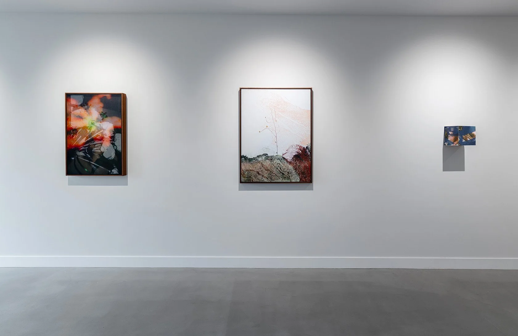 Anthony Gallery_High Res_JdeWaart_3.9.26-19_web.jpg
