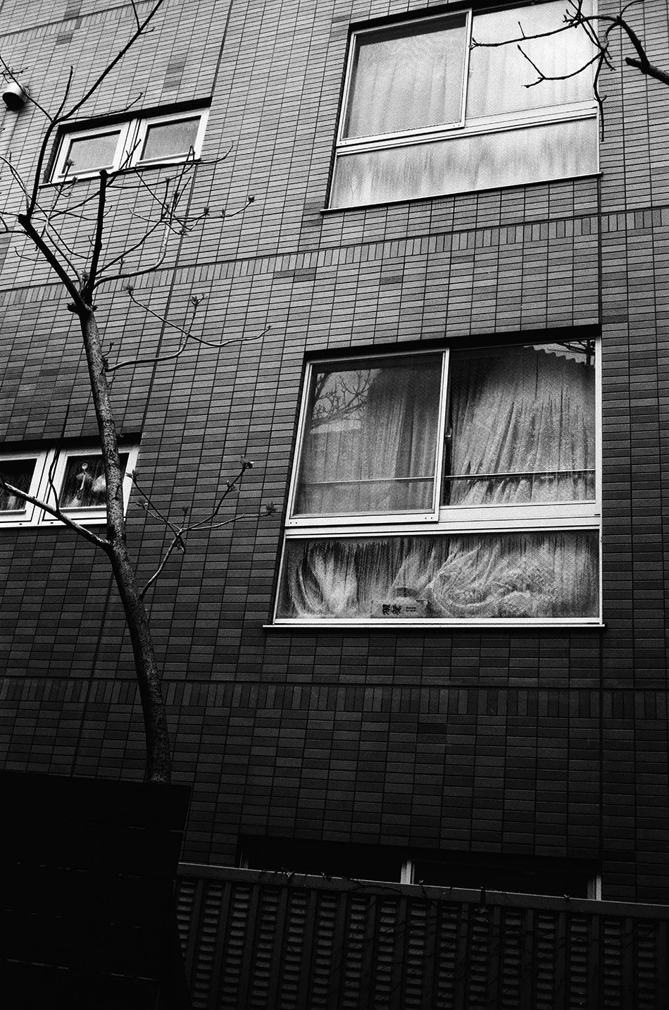 250607069430250029_Tokyo copy.jpg