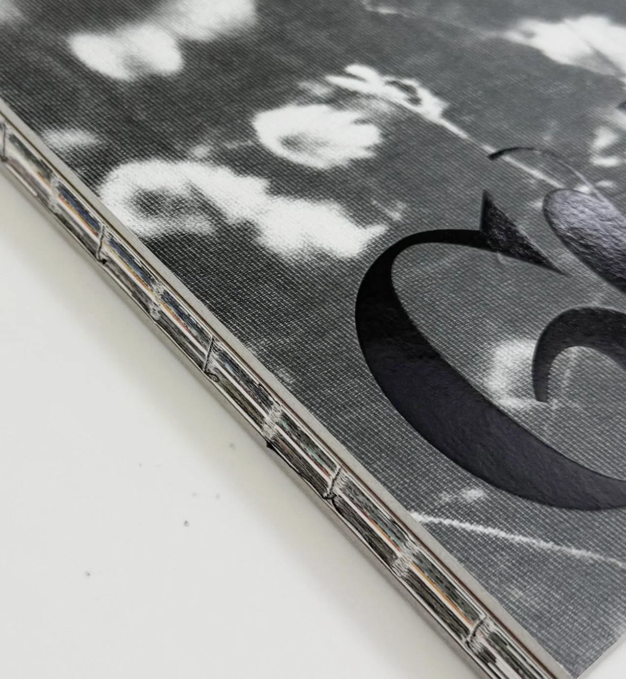 guts cover spine.jpg