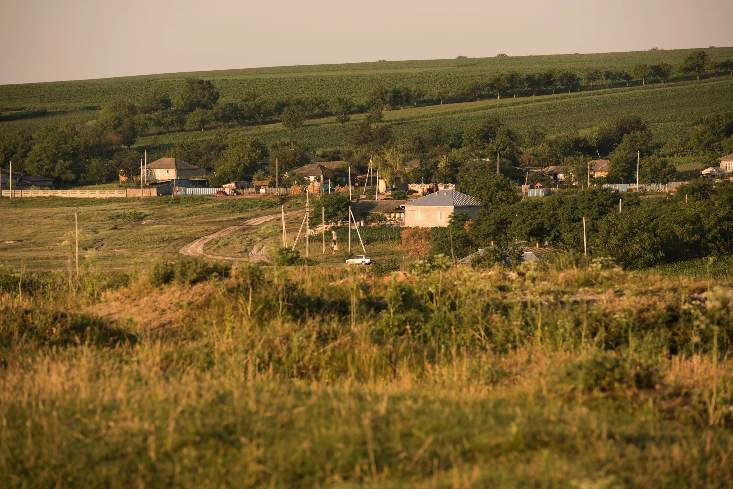 _DSC2932.jpg