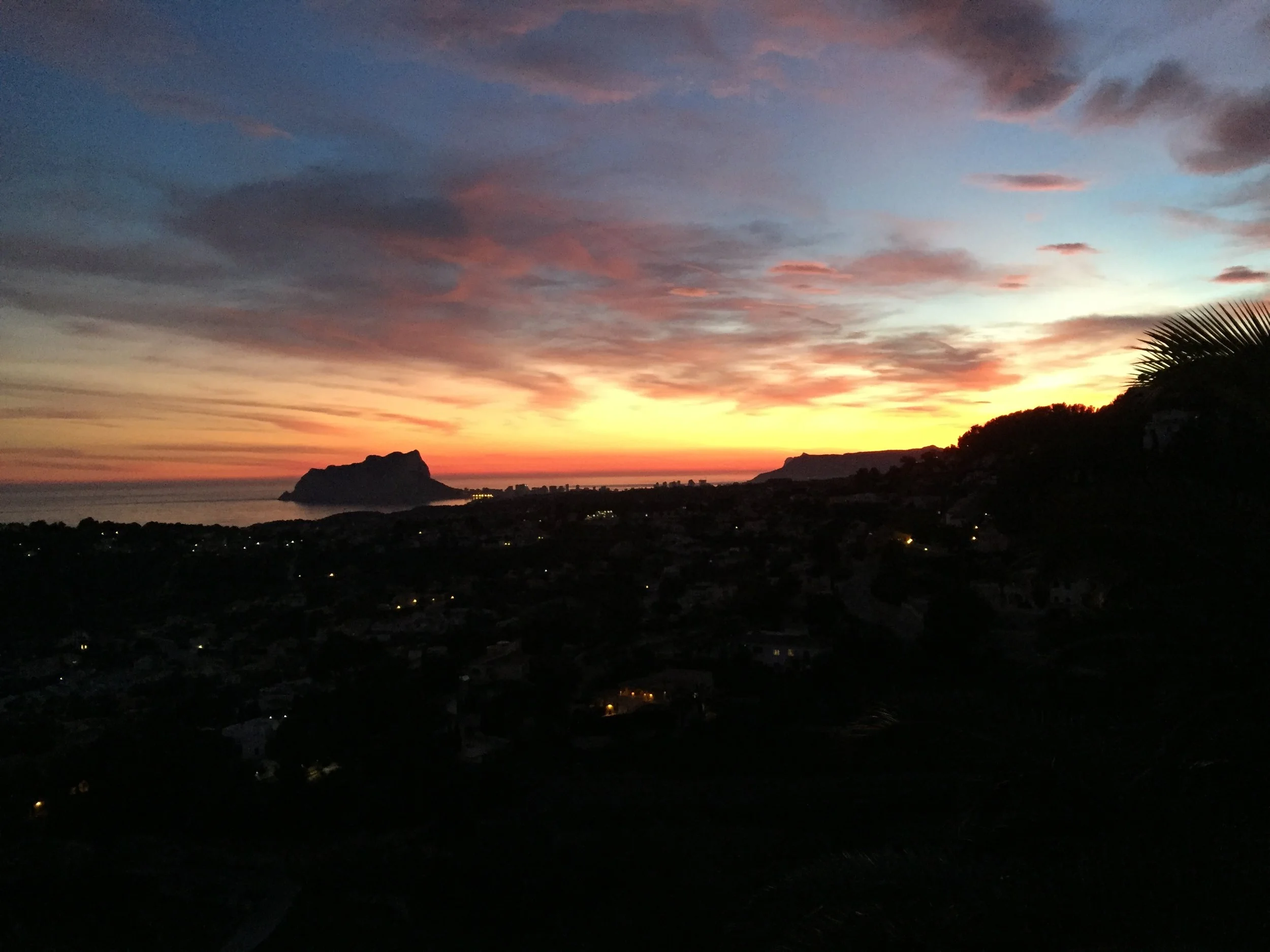 IMG_1399.jpeg