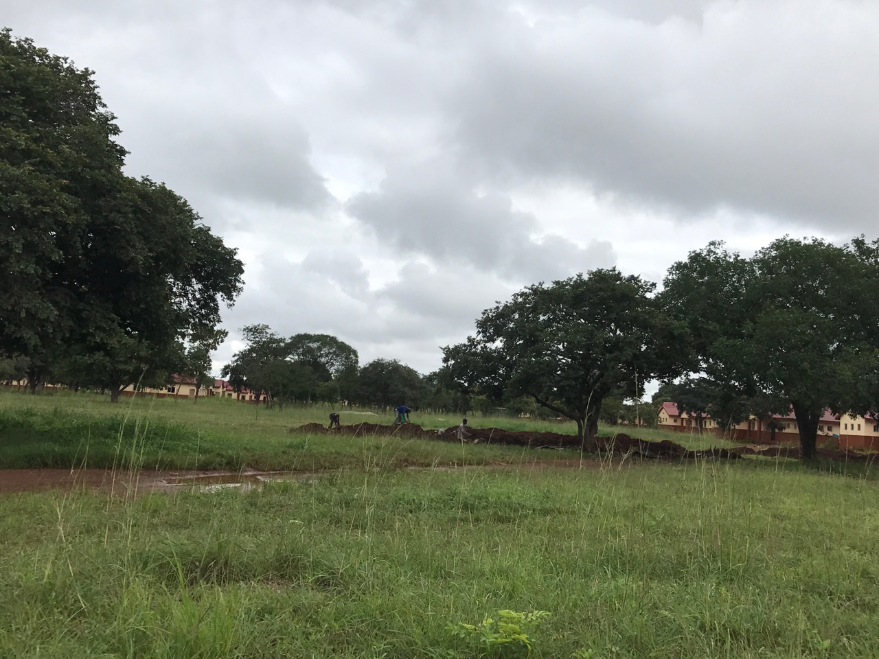 Standing directly in front of the land that will soon hold Brexton's House. 
