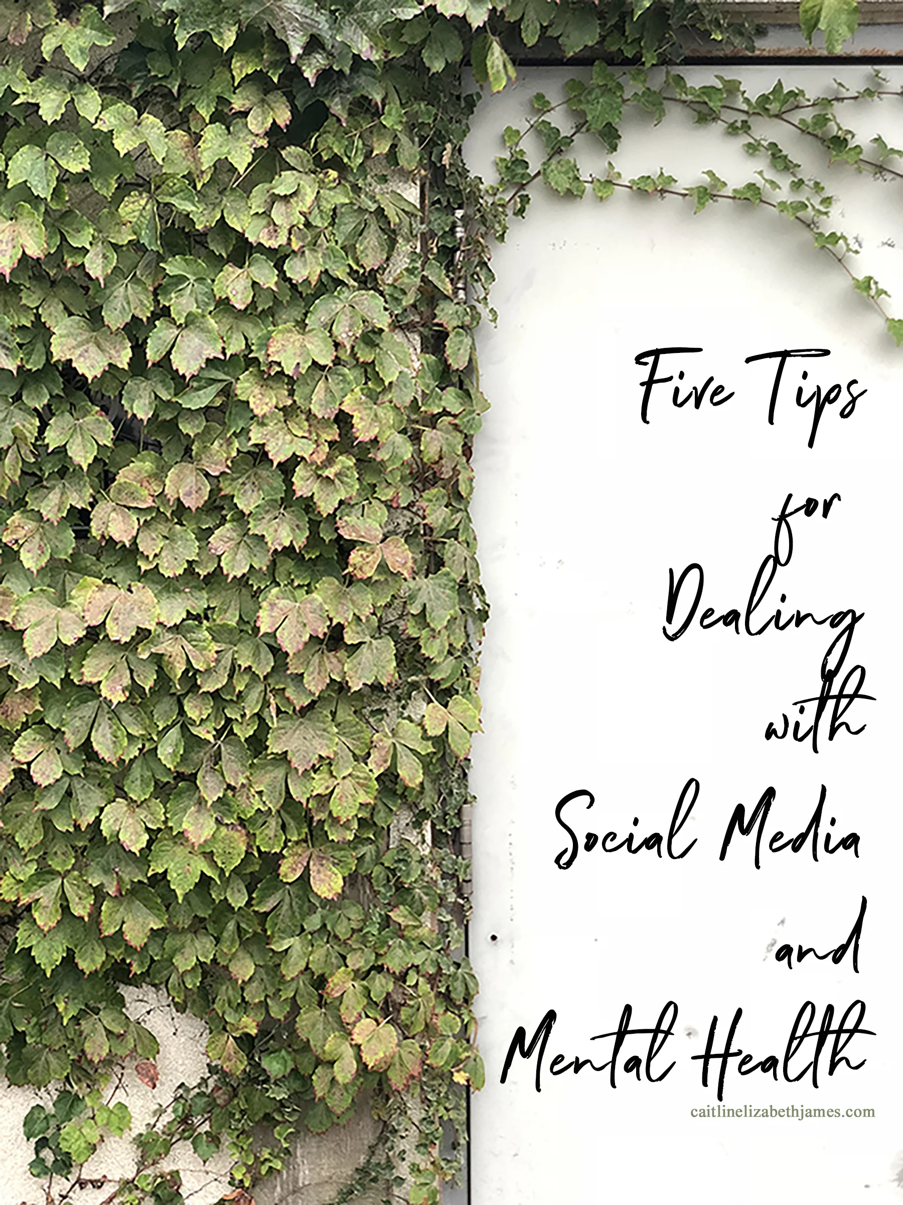 social media and mental health-caitlin james-blog-tips-self care-self help.jpg