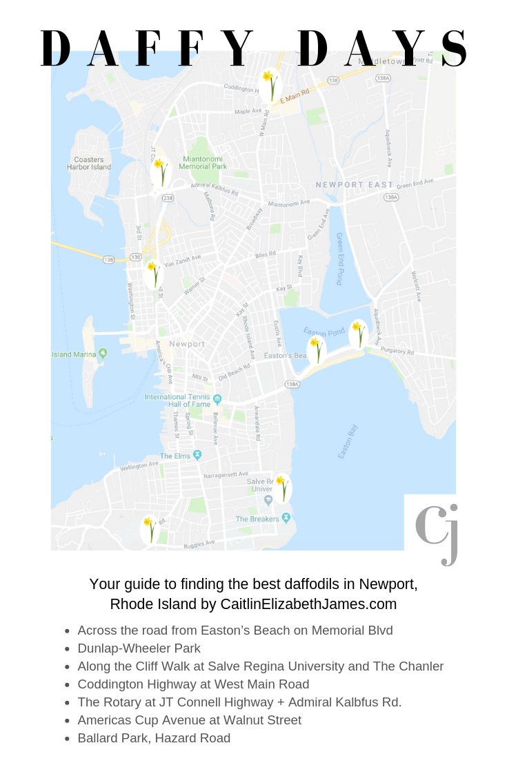 caitlin-elizabeth-james-Newport-Rhode-Islands-Daffodil-Days-map-graphic.png