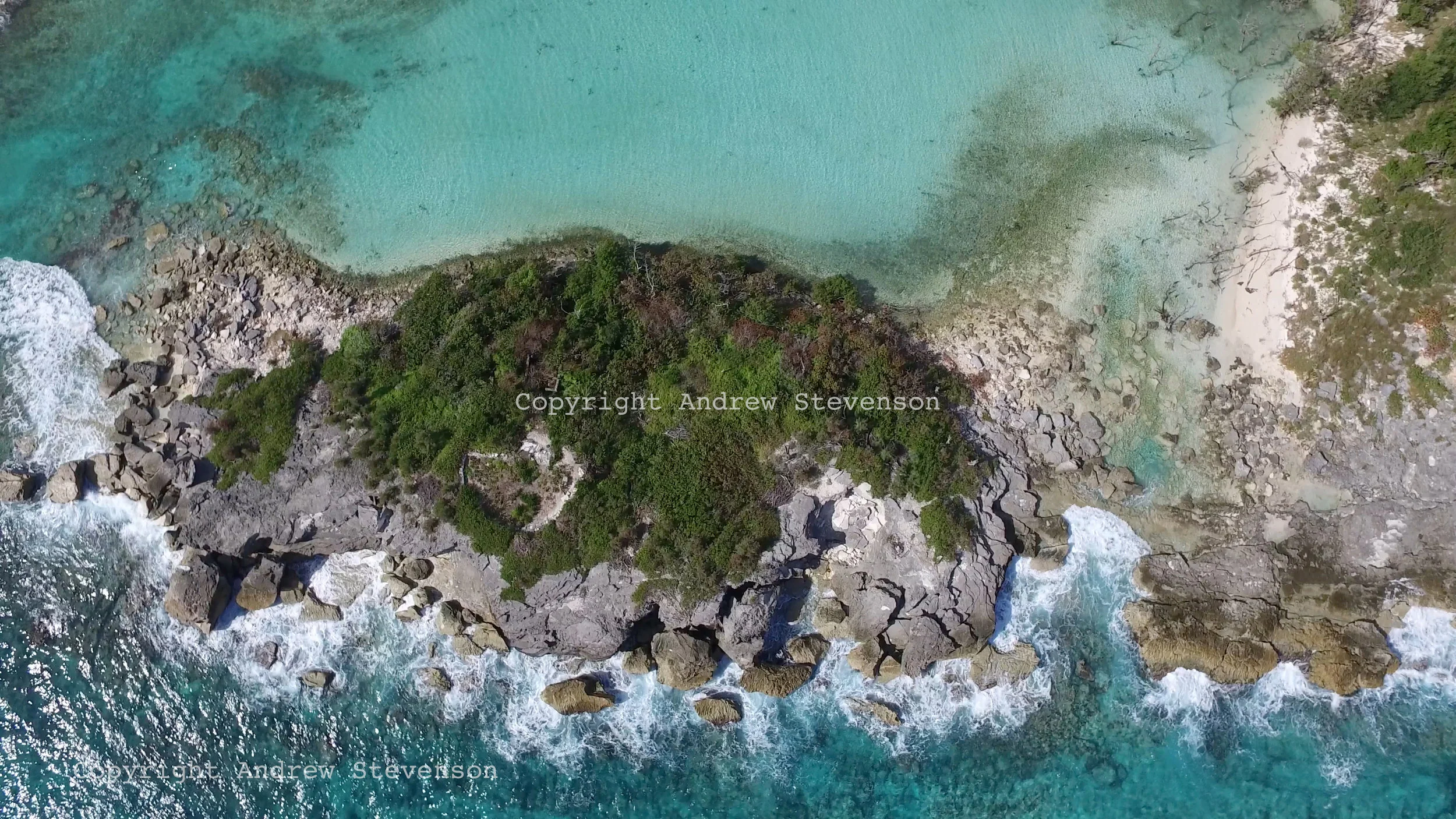 DJI_0008 1.jpg
