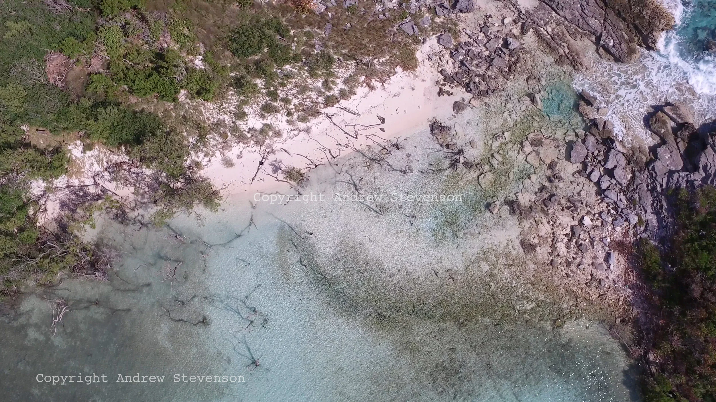 DJI_0013.jpg
