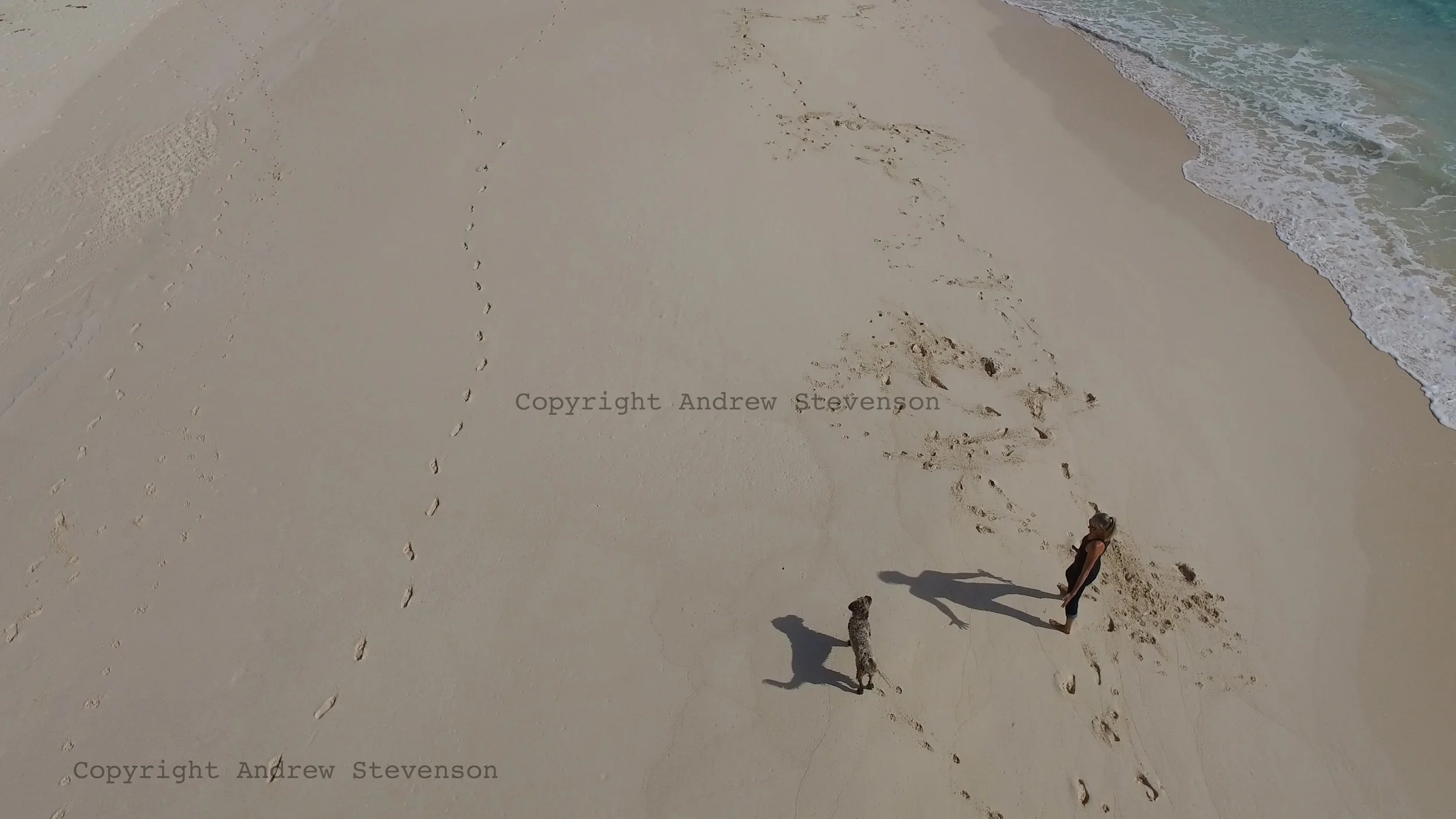 DJI_0025 1.jpg