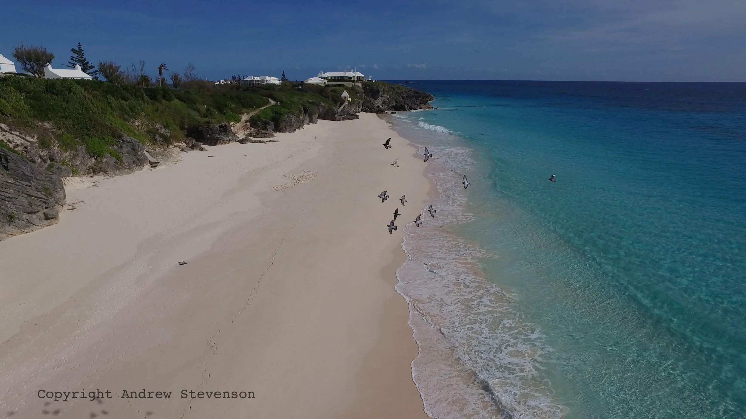 DJI_0017.tiff.jpg