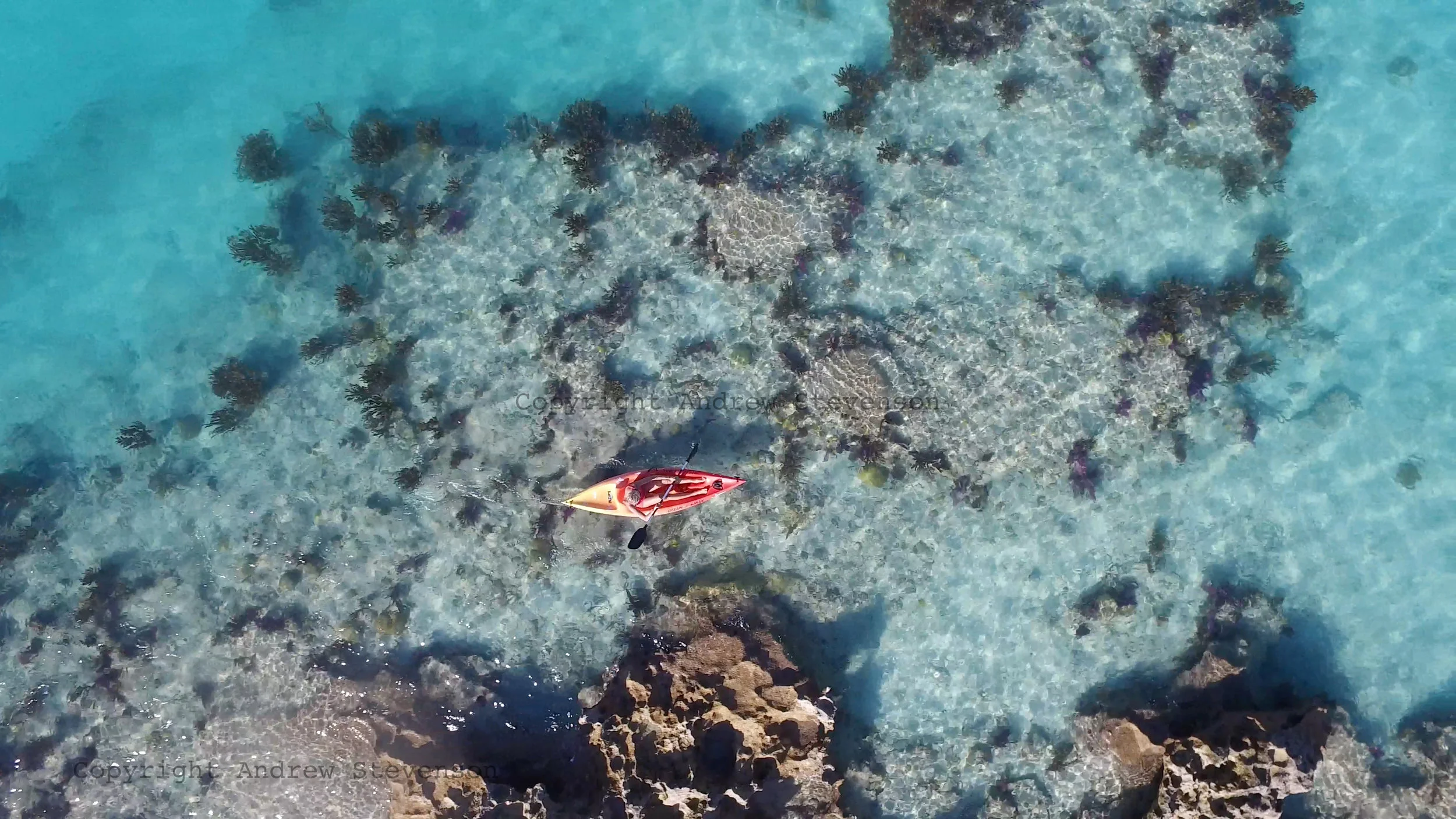 DJI_0001 3.jpg