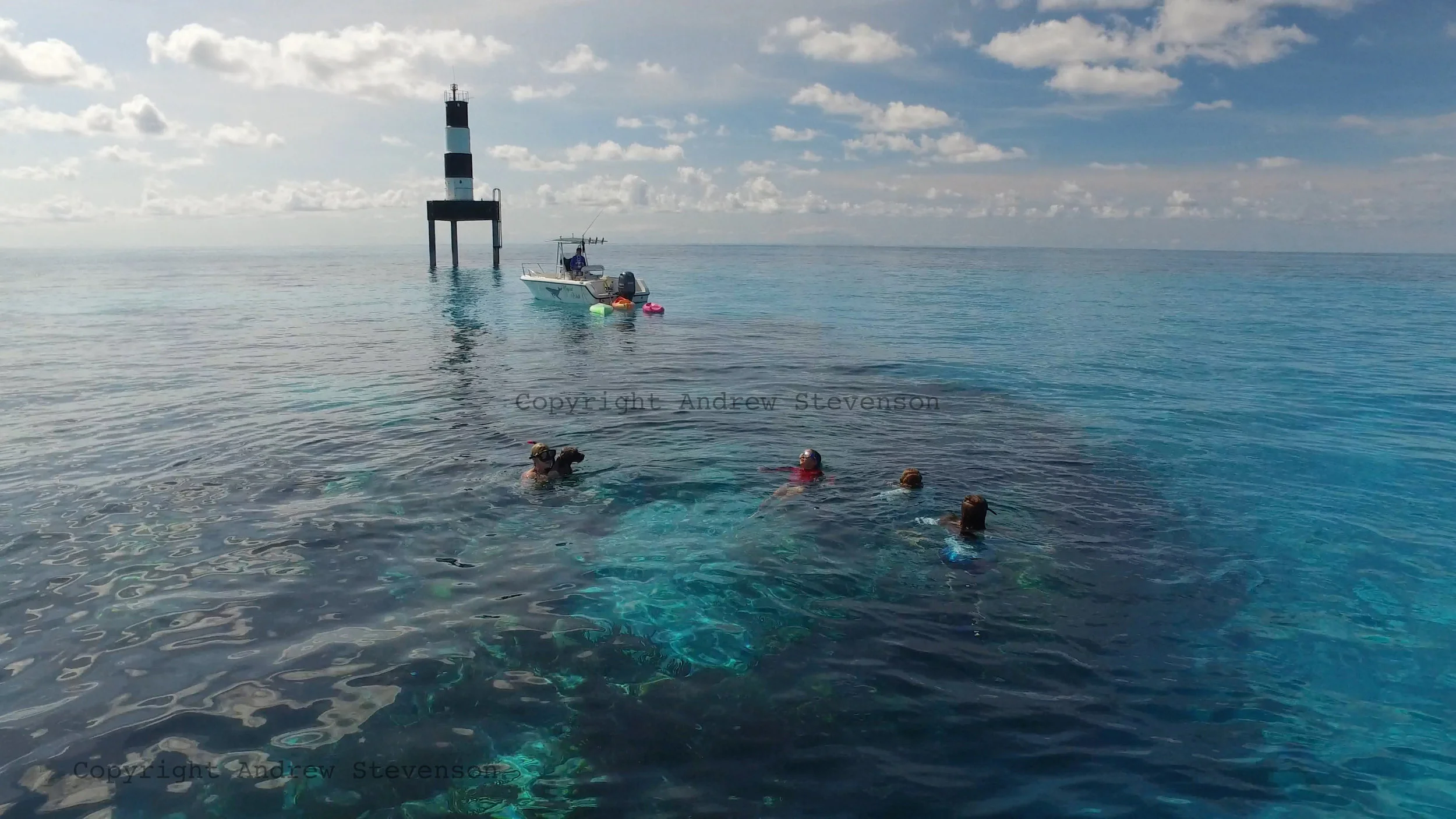 DJI_0049 1 3.jpg