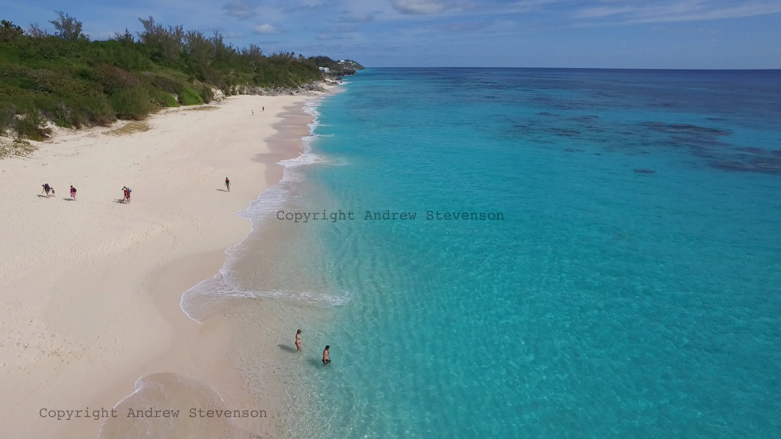 DJI_0001 1.jpg