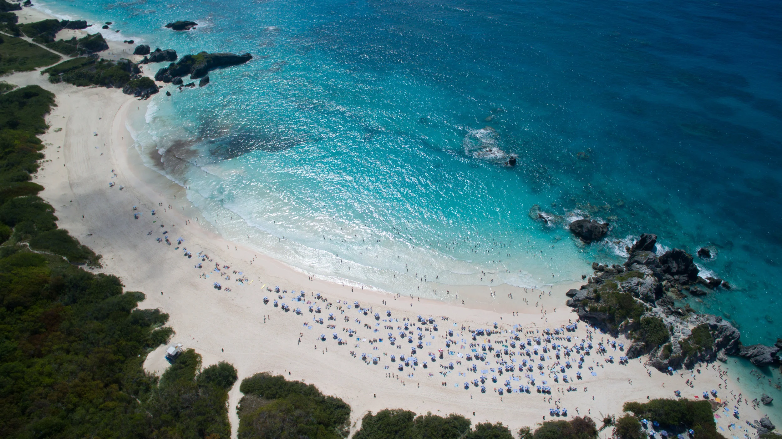 DJI_0156.jpg 1.jpg