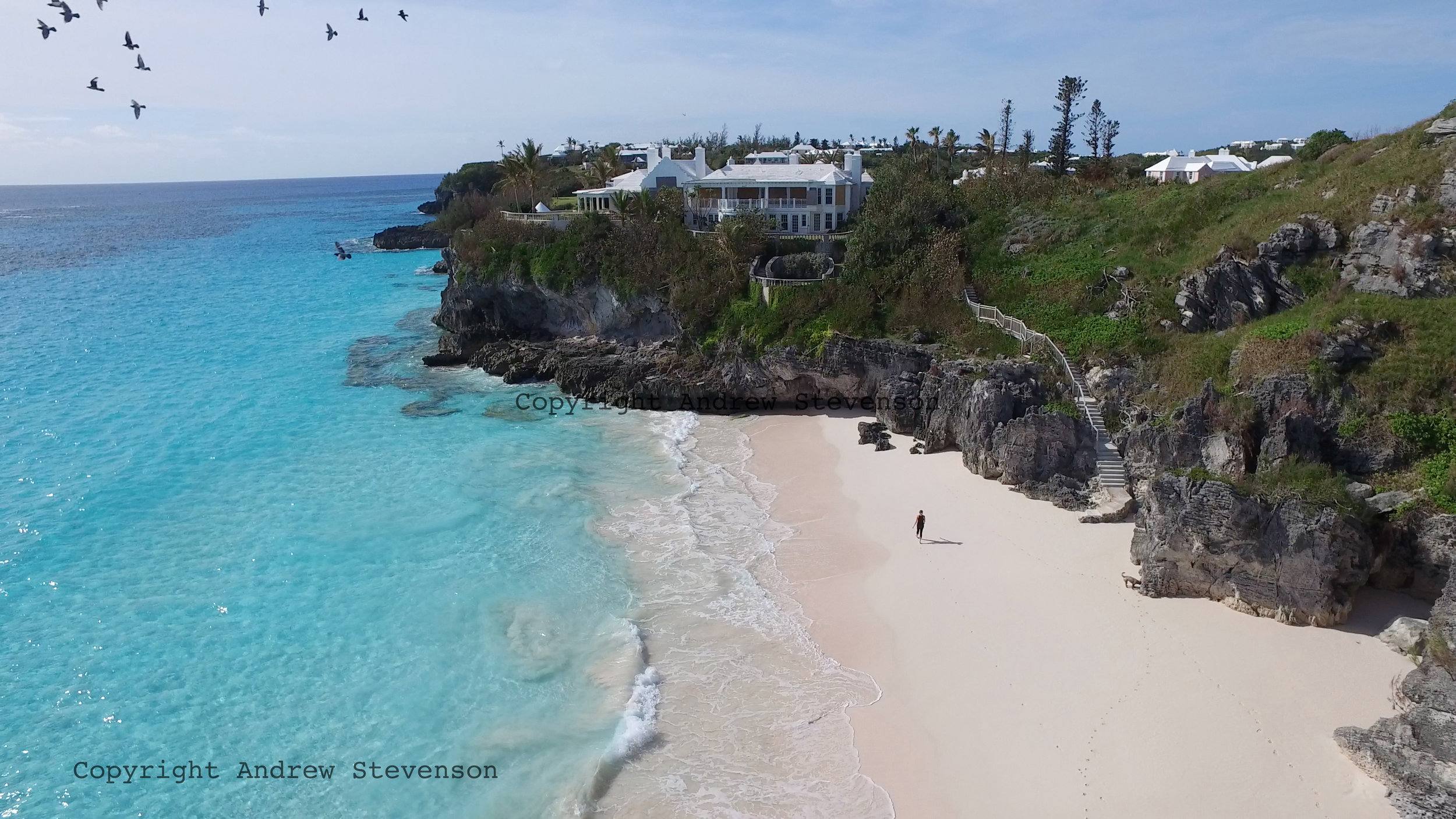DJI_0016 2.jpg