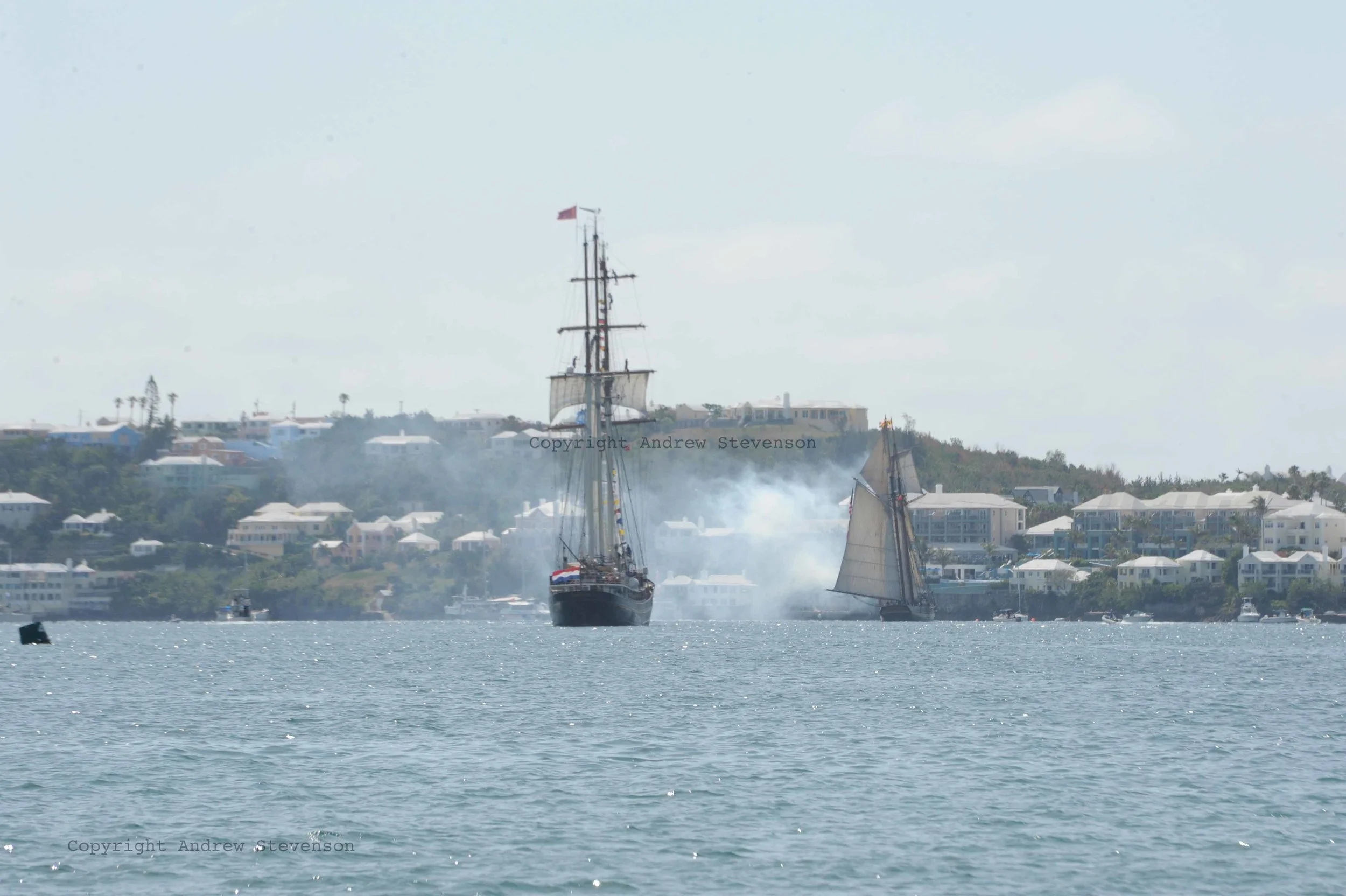 DSC_7738.JPG