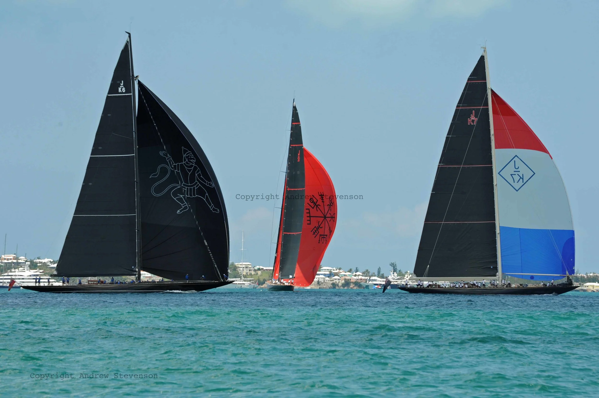 DSC_9854.jpg ed.jpg