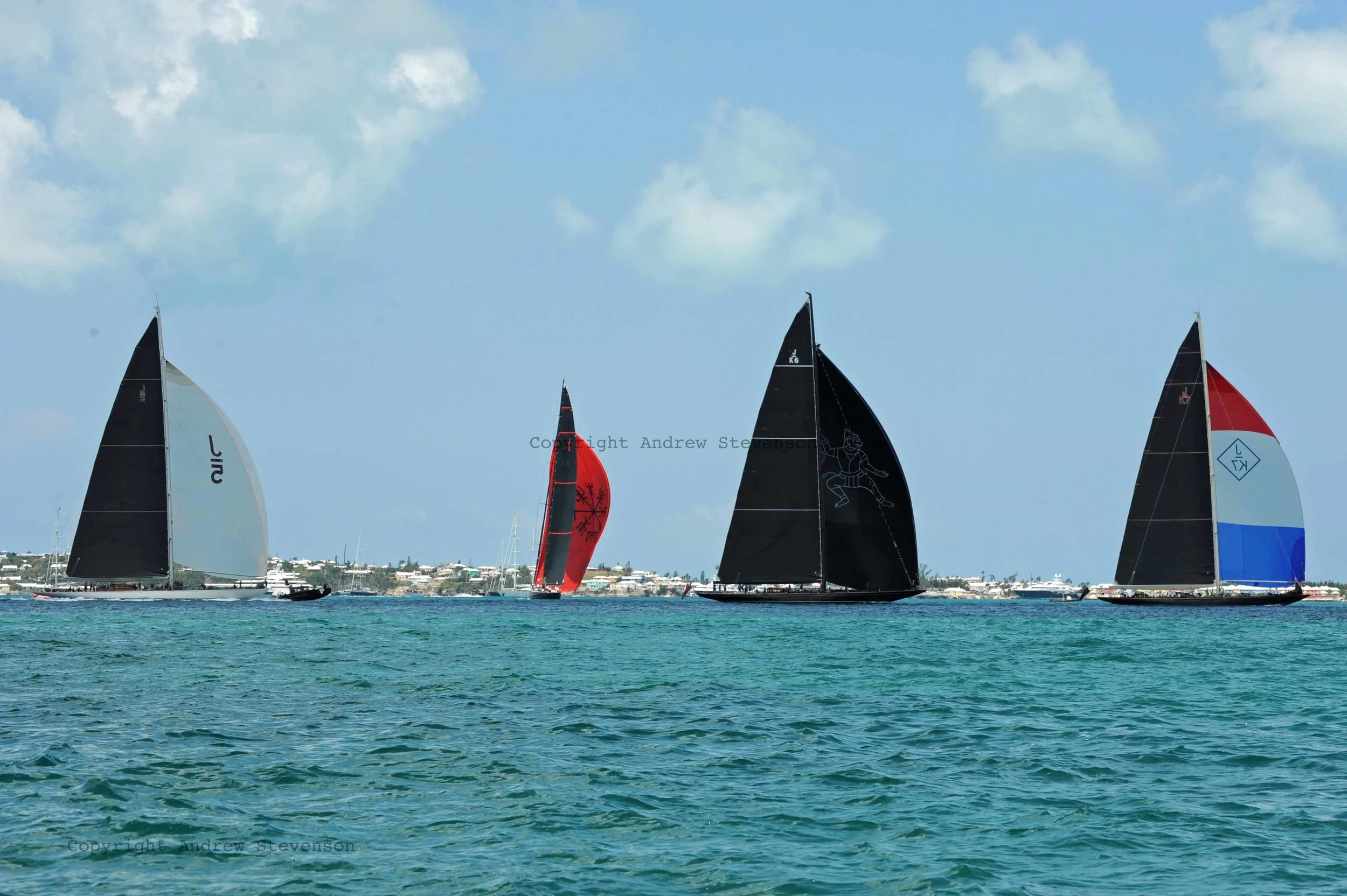 DSC_9858.jpg ed.jpg