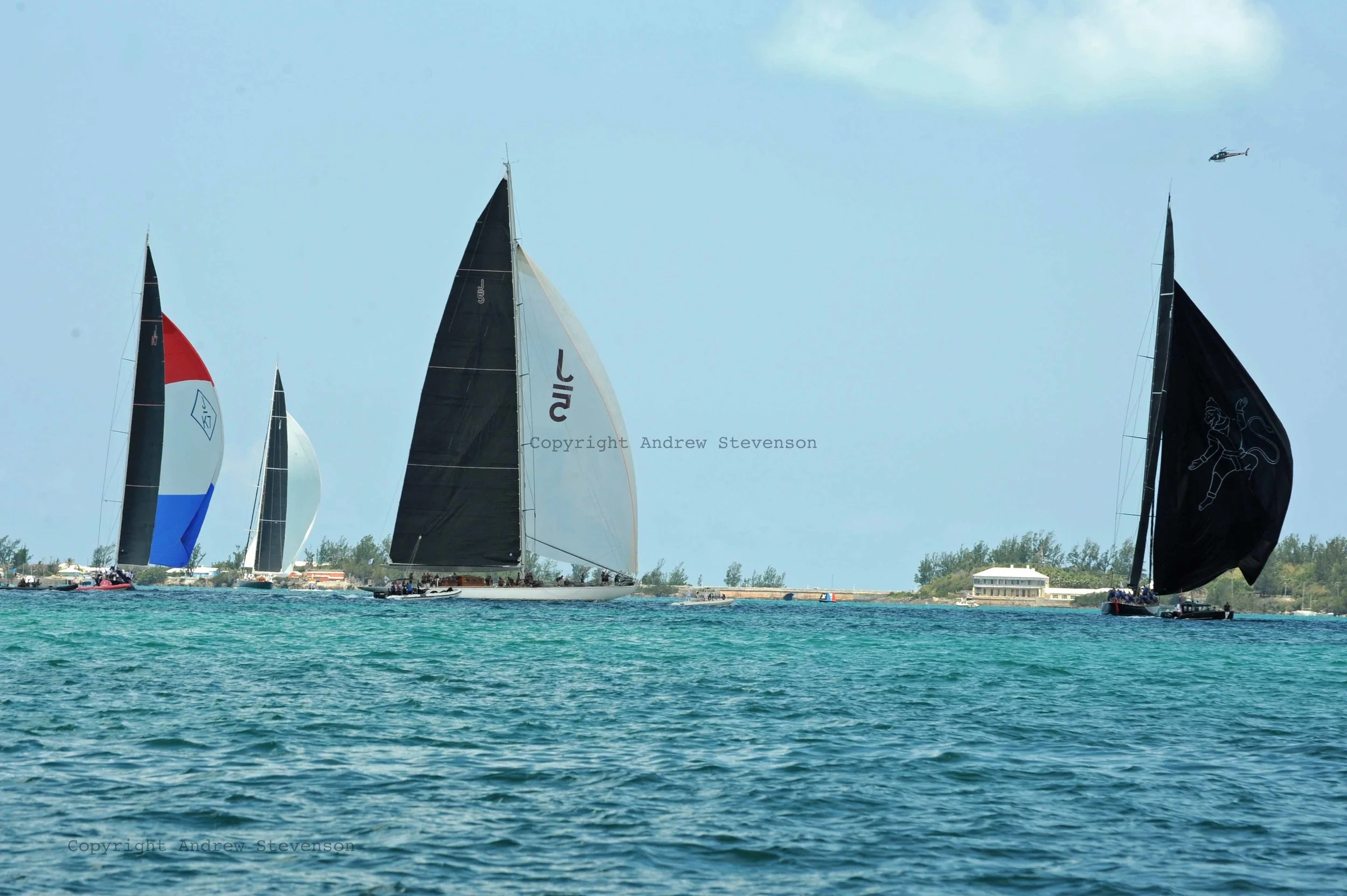 DSC_9887.jpg ed.jpg