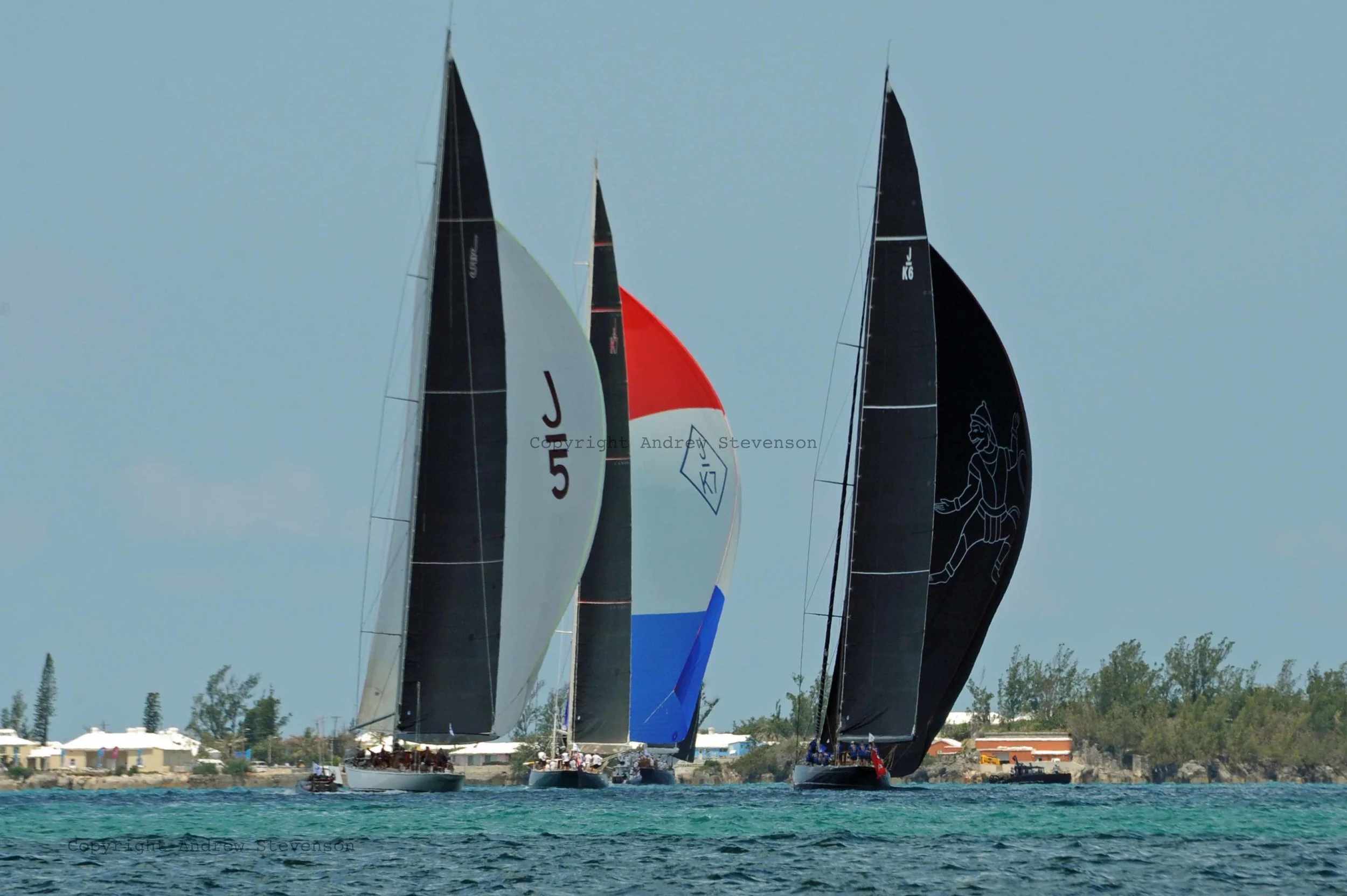 DSC_9906.jpg ed.jpg