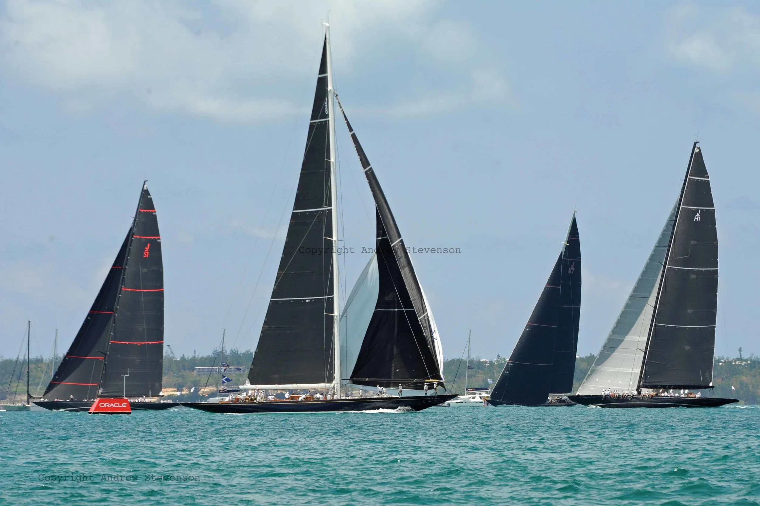 DSC_9951.jpg ed.jpg