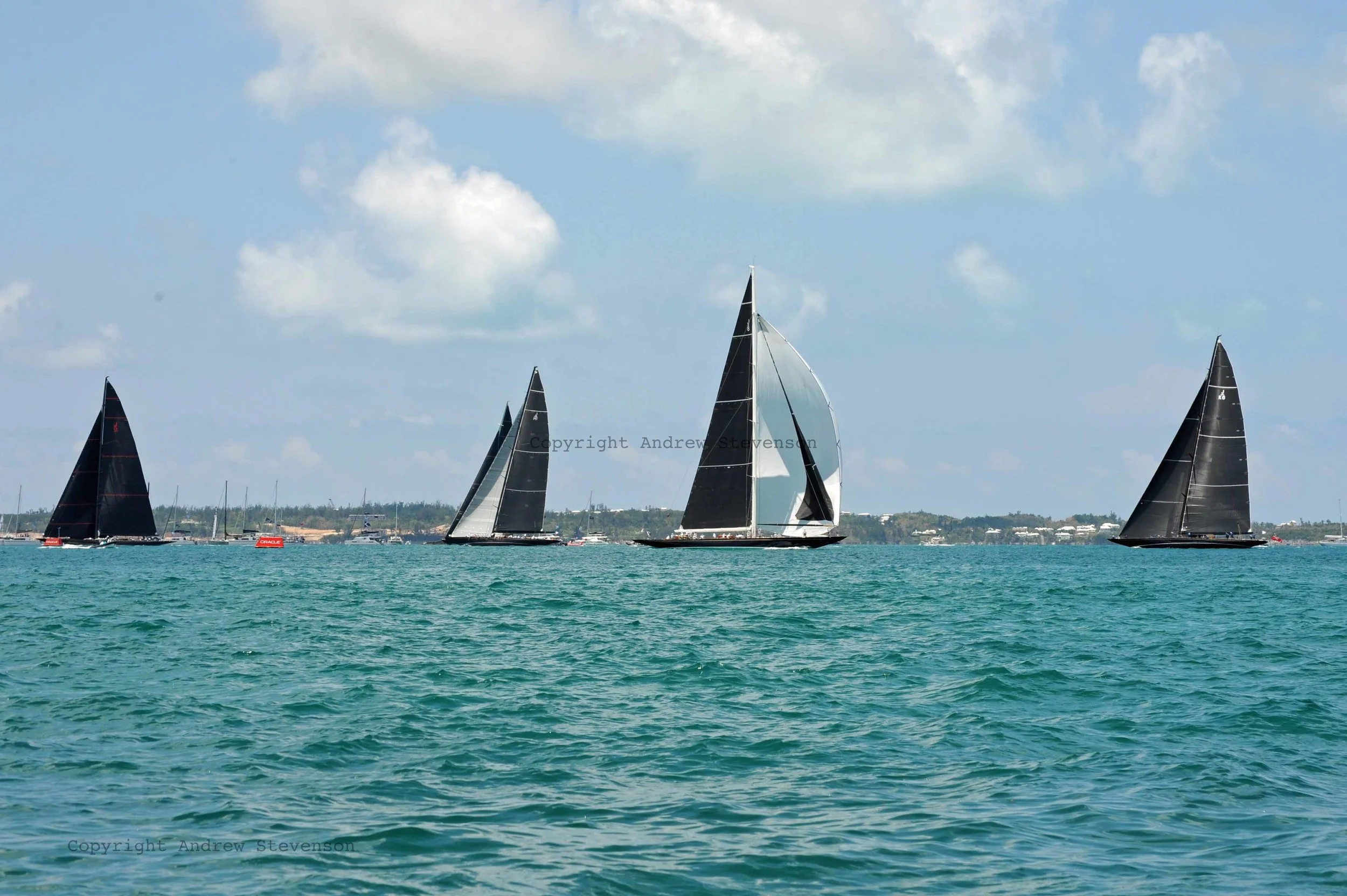 DSC_9954.jpg ed.jpg