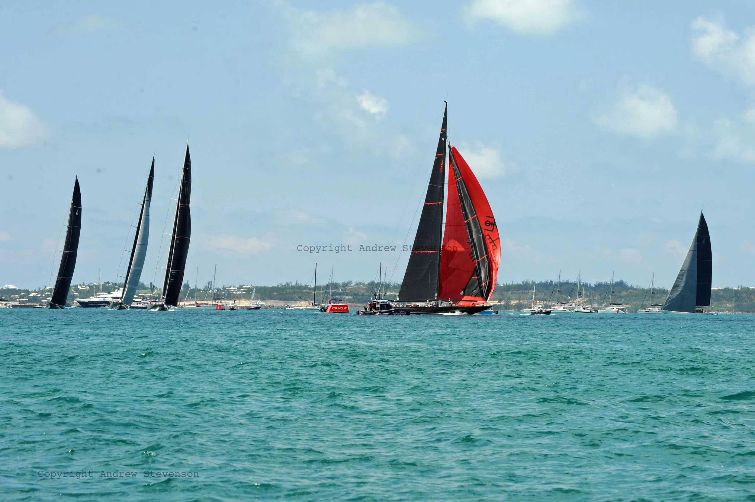 DSC_9973.jpg ed.jpg