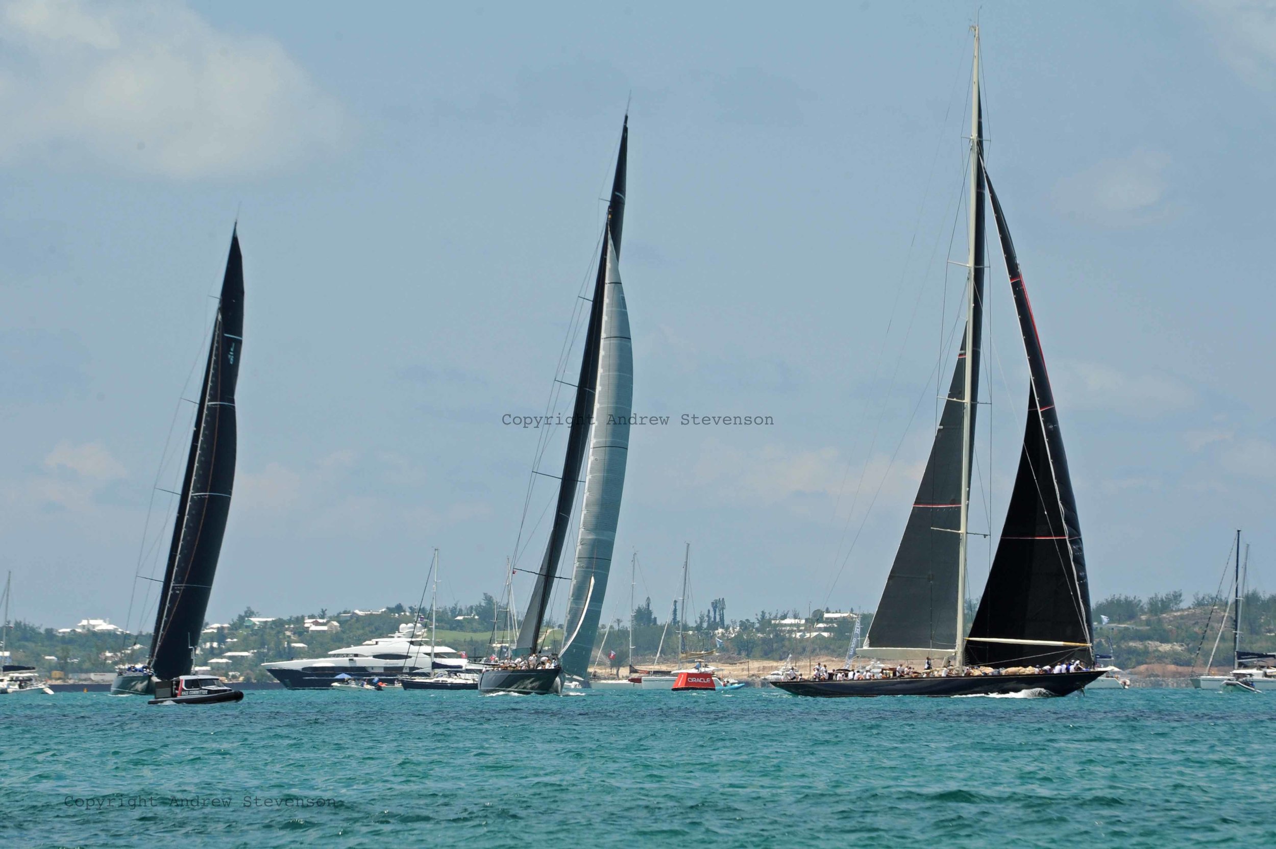 DSC_9984.jpg ed.jpg