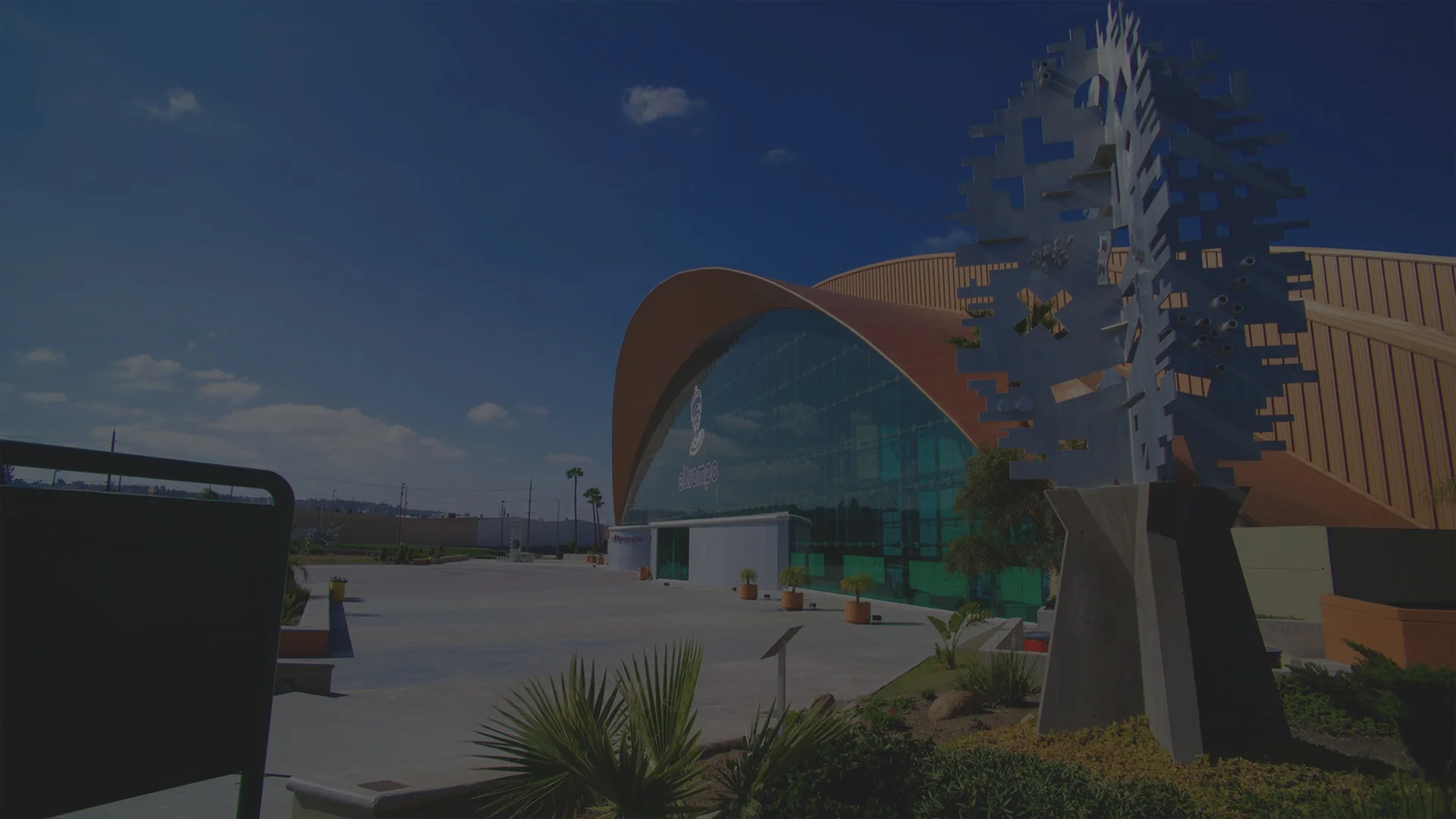 tijuana2.jpg