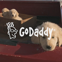 godaddy.gif