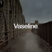 vaseline.gif
