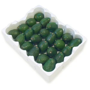 avacadotray.jpg