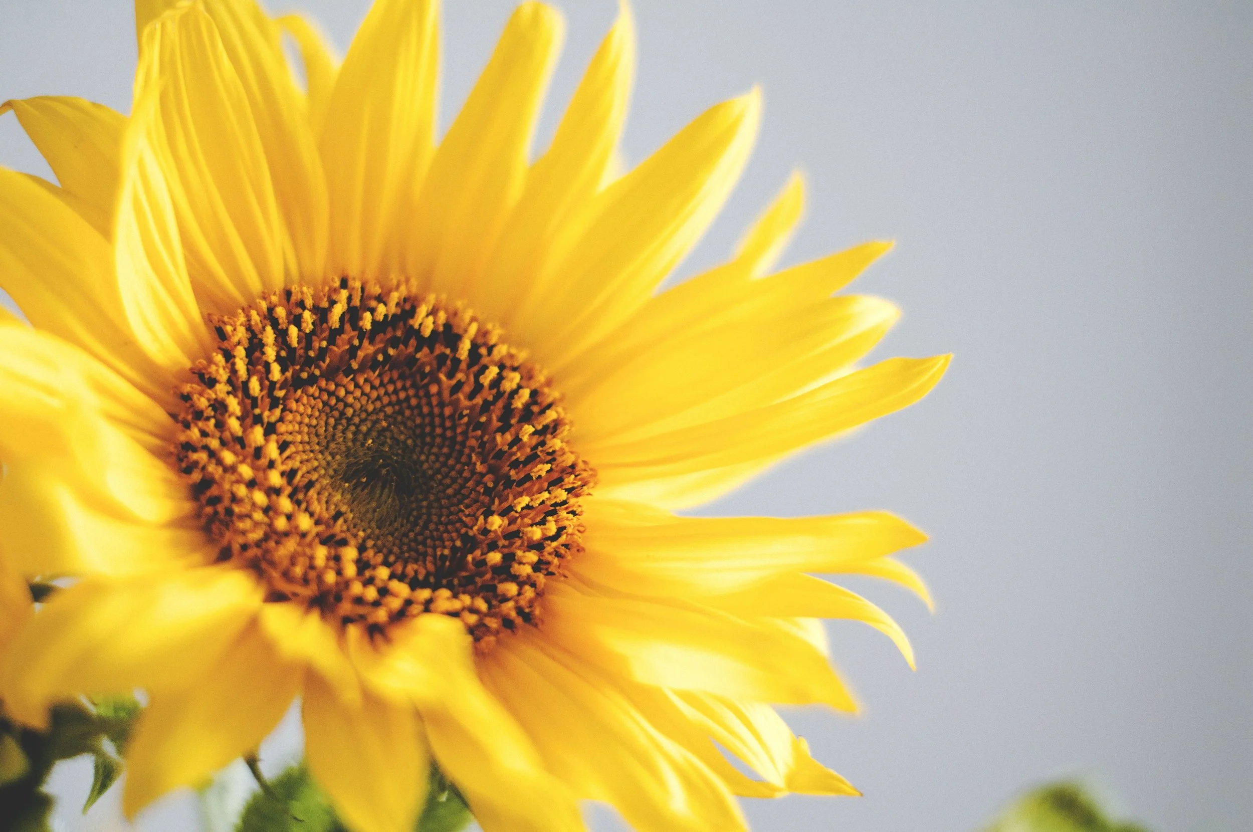 Photo: unsplash.com
