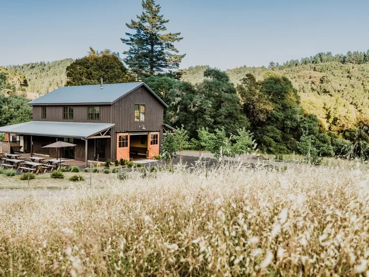 ROOTED RADIANCE: A Women’s Retreat with Nicole &amp; Angie