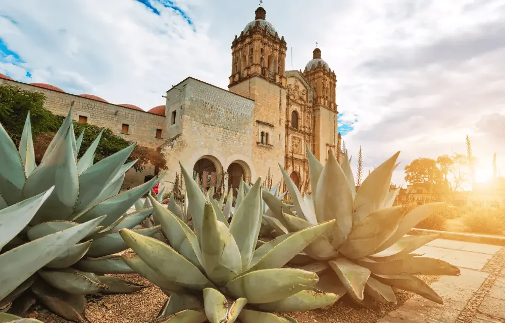 oaxaca 3.webp