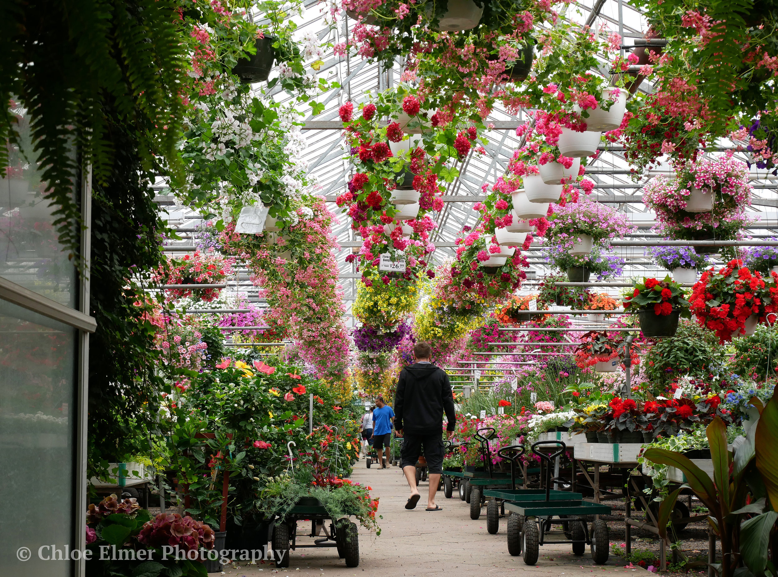 This place was huge and so colorful!