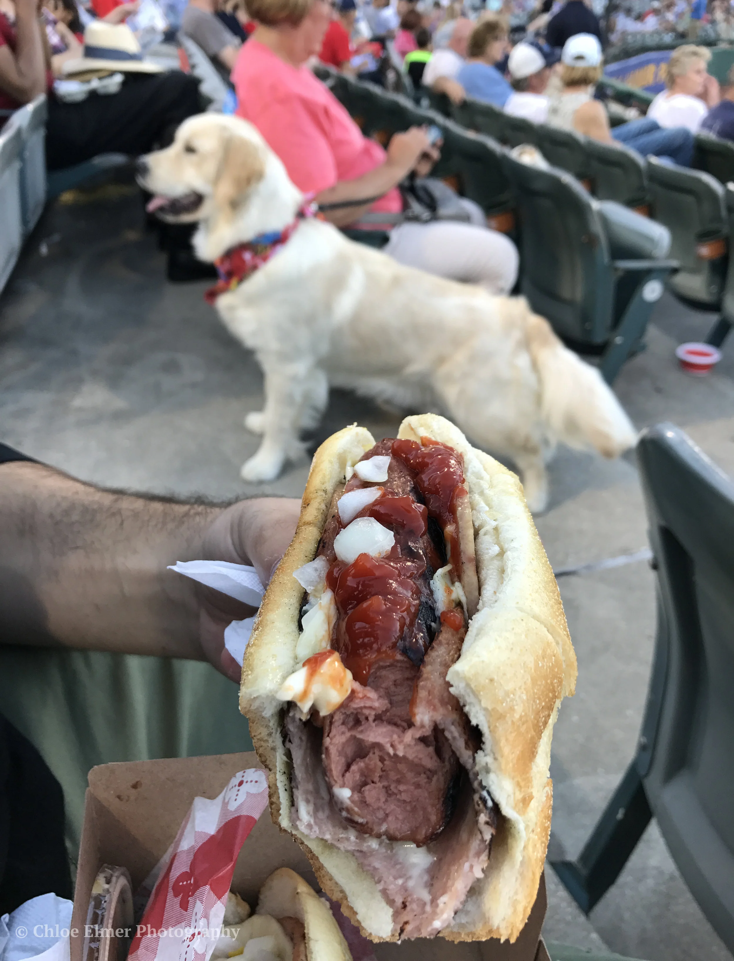 Pork roll-wrapped hot dogs? Yea, they've got them. That's so Trenton!