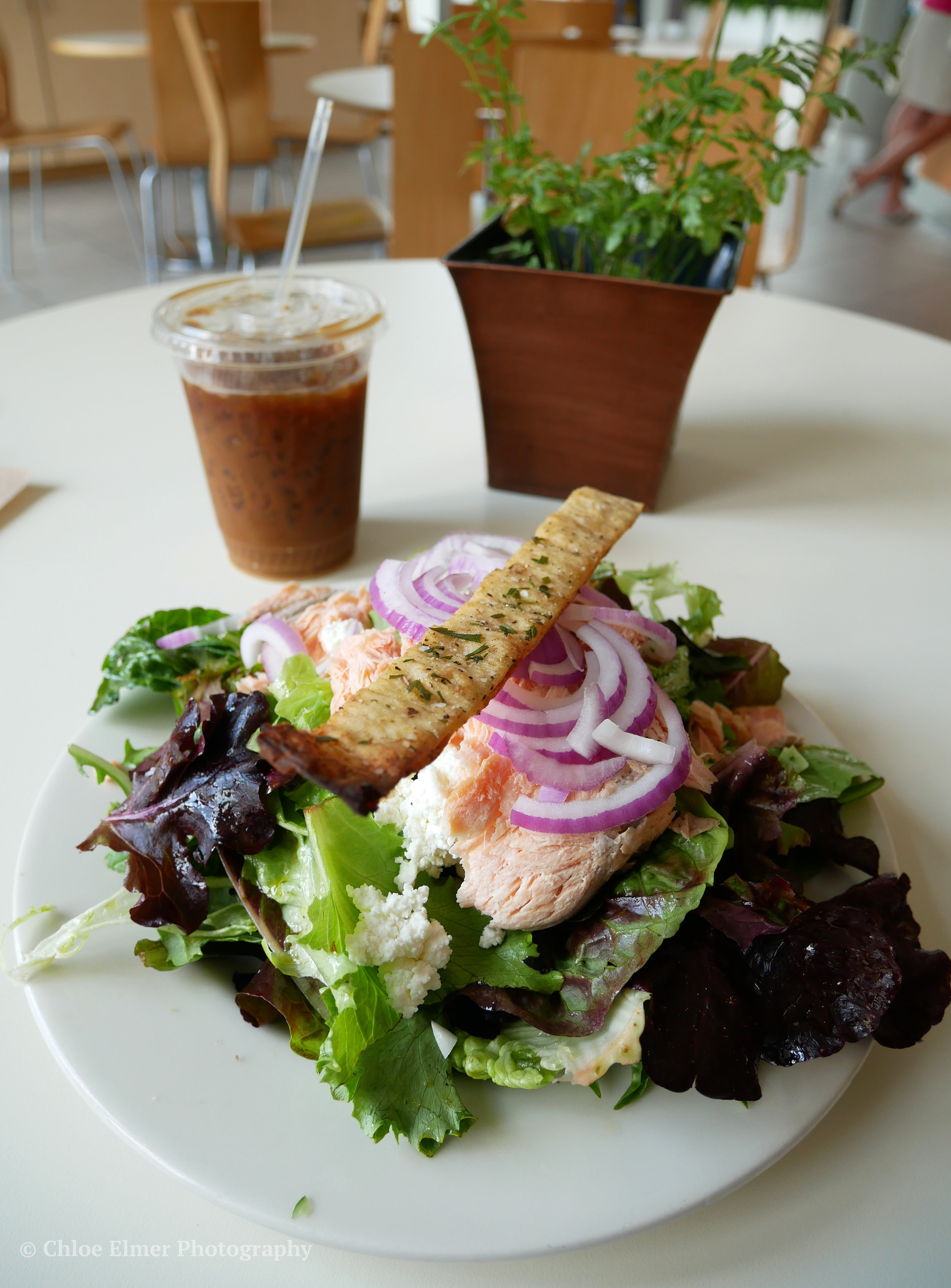 Phipps had the most AMAZINGLY fresh food at their cafe. I had a salmon salad before heading home! Highly recommend!