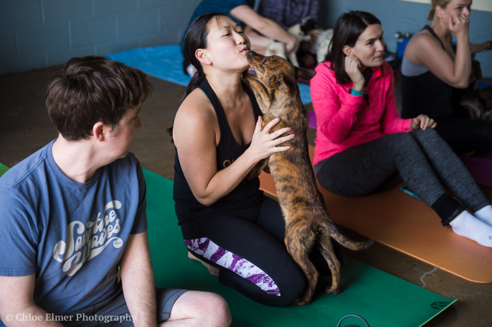 030418 SPCA puppy yoga 09.JPG