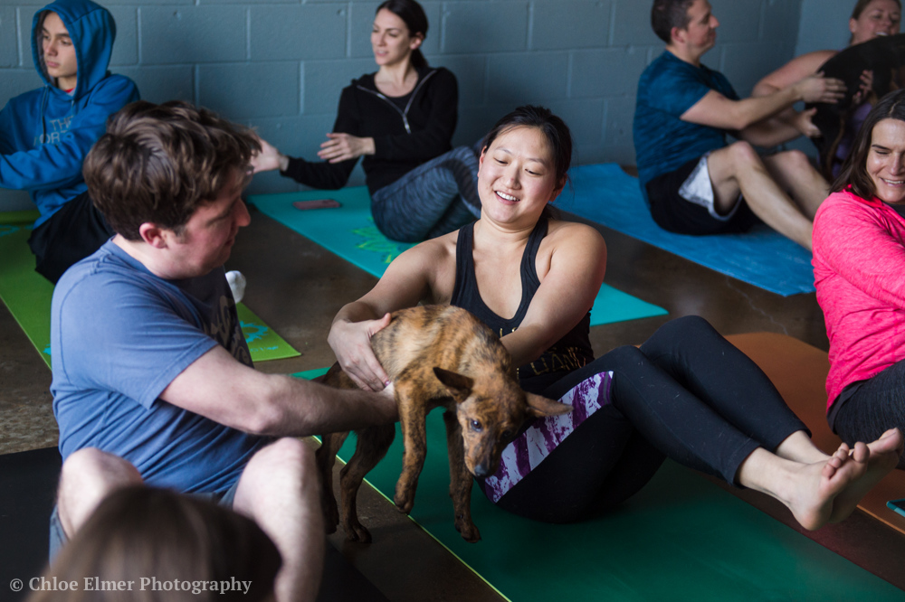 030418 SPCA puppy yoga 13.JPG