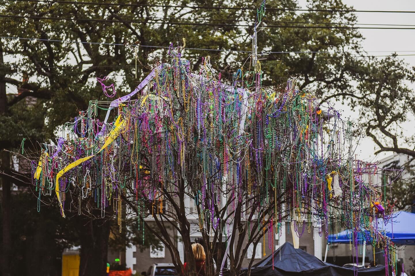 Happy Mardi Gras 🎉🎊🍾👯🪩 Here are some favorites from the archive over the years.