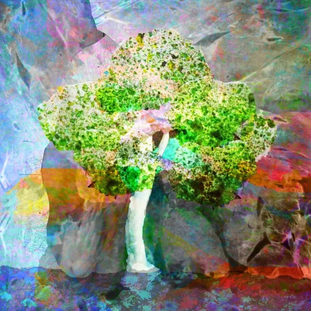 Tree%252Bw_%252Bbrilliant%252Bcolors.jpg