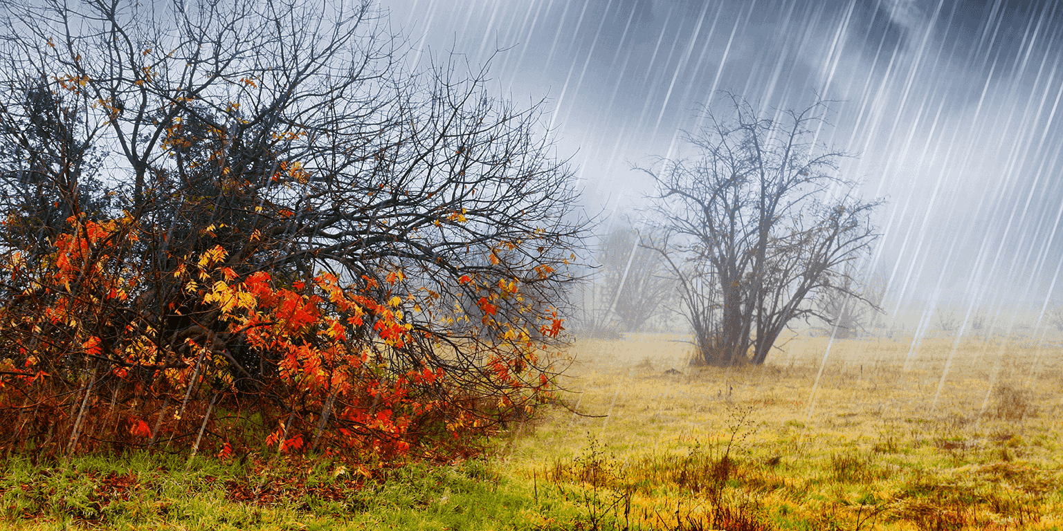 Пасмурный день. Хмурая дождливая осень. Пасмурный осенний день. Осенний туман.