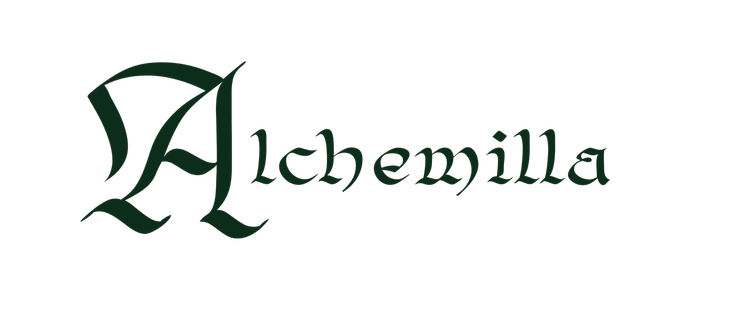 Alchemilla