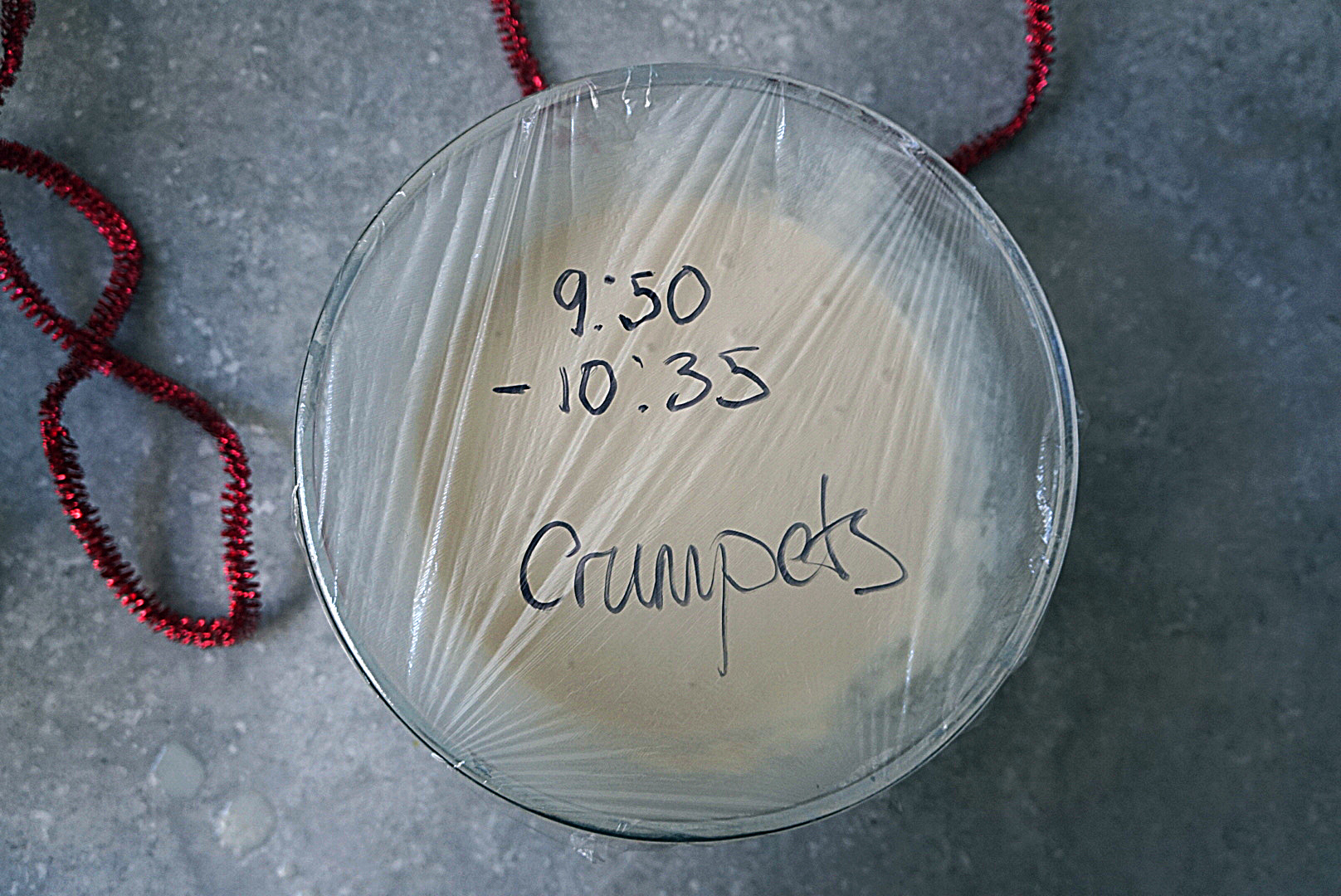 Crumpet covered.png