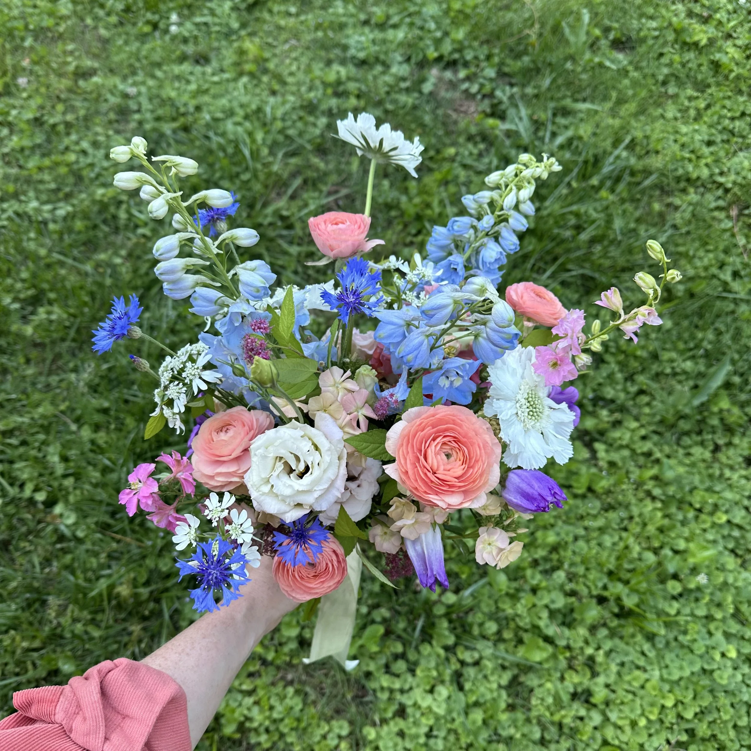 IMG_4443.jpeg
