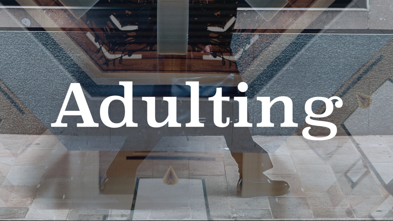 Adulting | Finale 