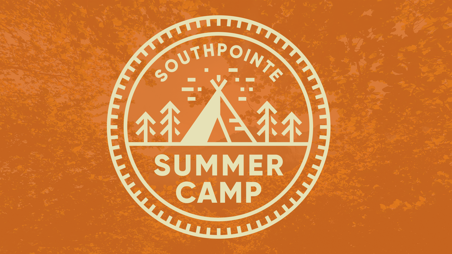 Summer Camp | Week 2 