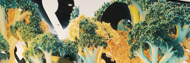 BASHESbroccoliheader.png